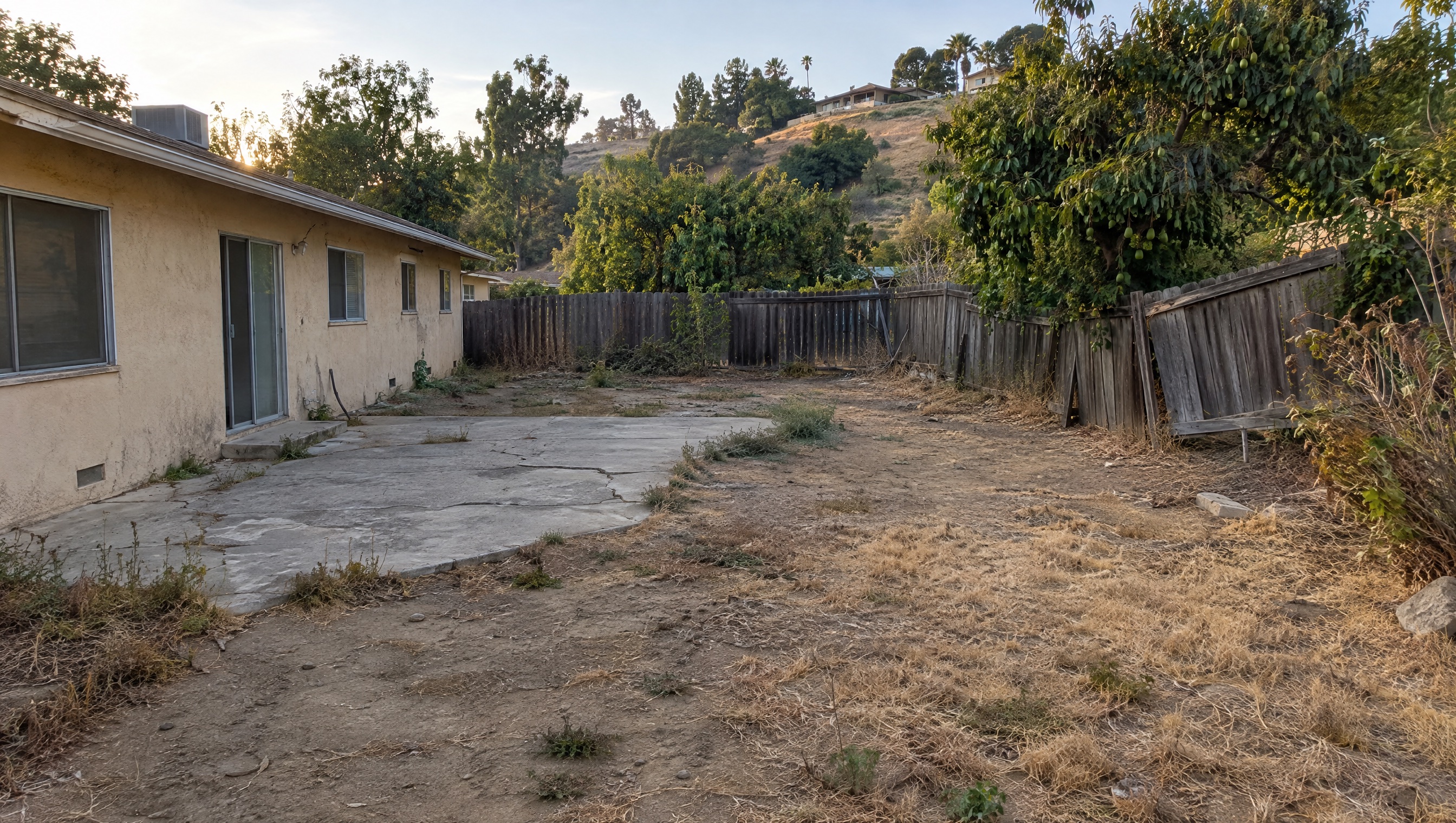 Before: dry dirt yard with cracked concrete slab and old fence